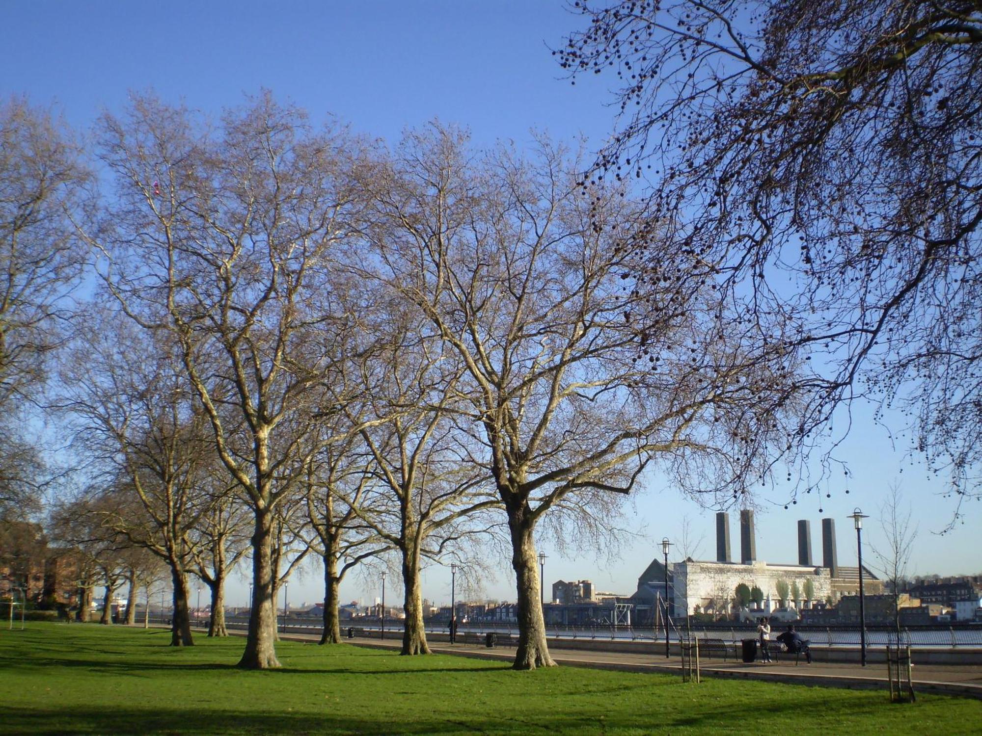 Bartlett House With Terrace Near Greenwich Londen Buitenkant foto